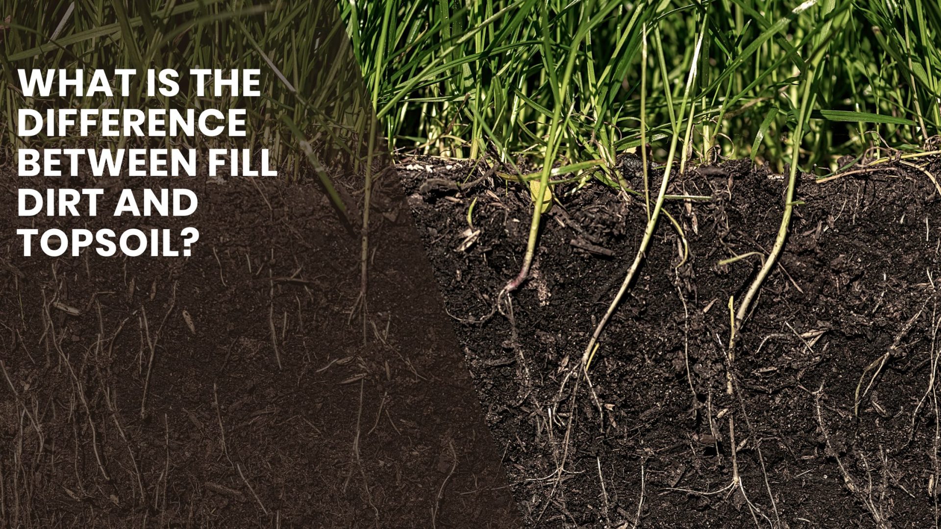 What is the Difference Between Fill Dirt and Topsoil?